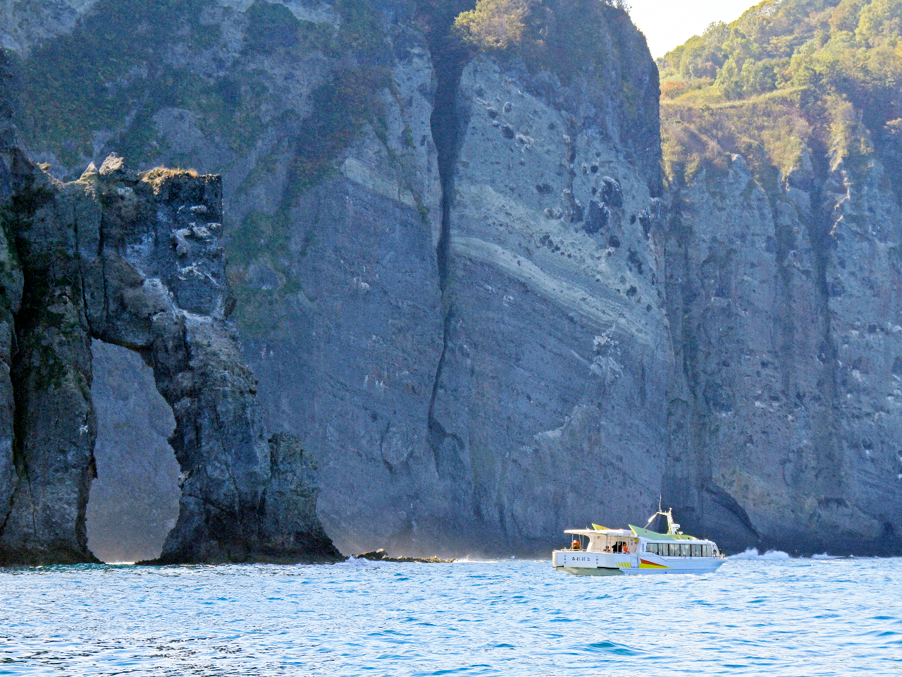 �c���J�P��