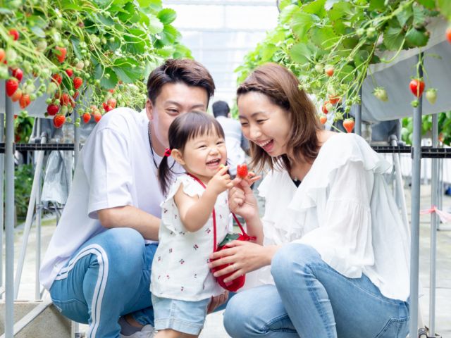 海老名 いちご狩り 高設栽培で食べやすい 8種のいちごをお腹いっぱい食べ比べ 23年 ストロベリーハウスebina じゃらん遊び体験 海老名 いちご狩り 高設栽培で食べやすい 8種のいちごをお腹いっぱい食べ比べ 23年 ストロベリーハウスebina じゃらん遊び体験