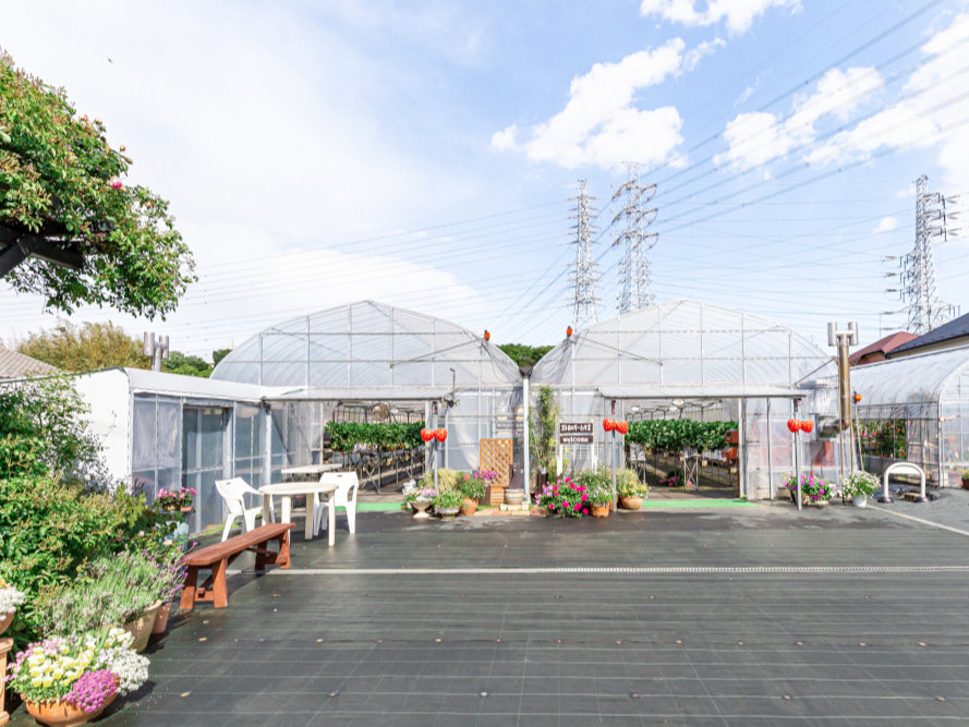 ~jLł́Aő݂oĂoh~gȂƂтŗVׂ܂Iqǂl܂Ŋy߂܂