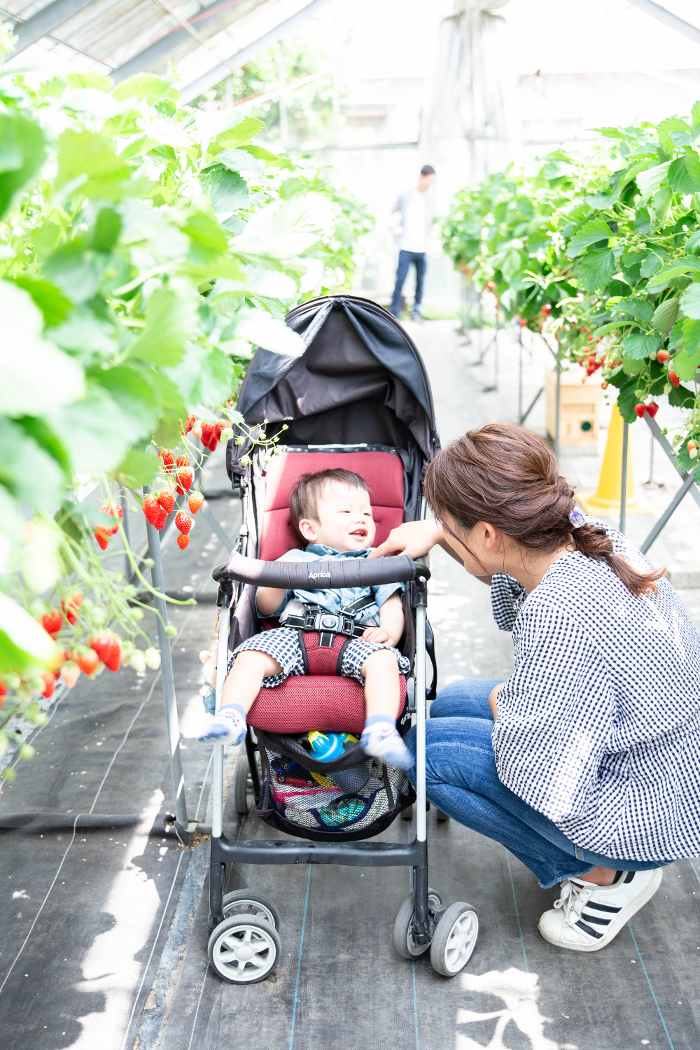 �x�r�[�J�[�̂܂ܓ������Ē����܂�