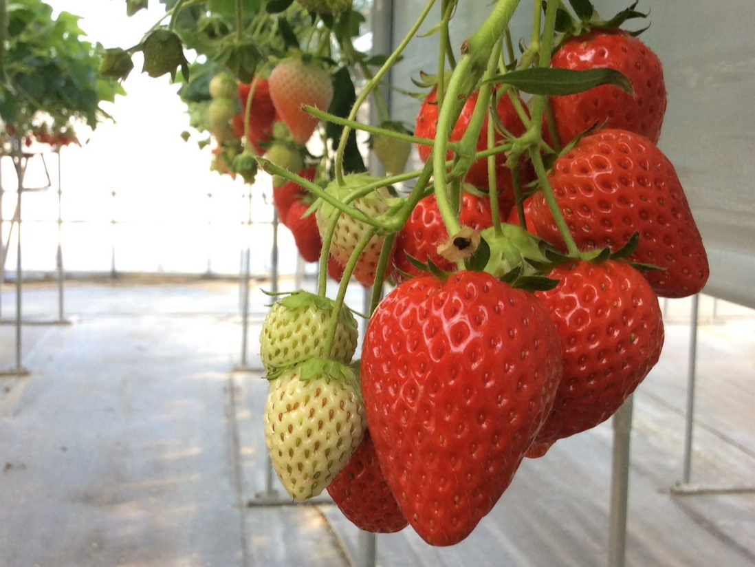 30HוR[Xł́w͕Px@60Hה׃R[Xł10ނ̂Hוł