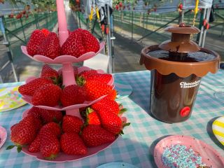 4 11 5 10 コロナ対策実施します Sns映えグッズ充実 チョコもクリームもミルクも持ち込みok 甘くておいし い いちご狩り に来てね 女性やカップルにもオススメ 佐野農園 じゃらん遊び体験