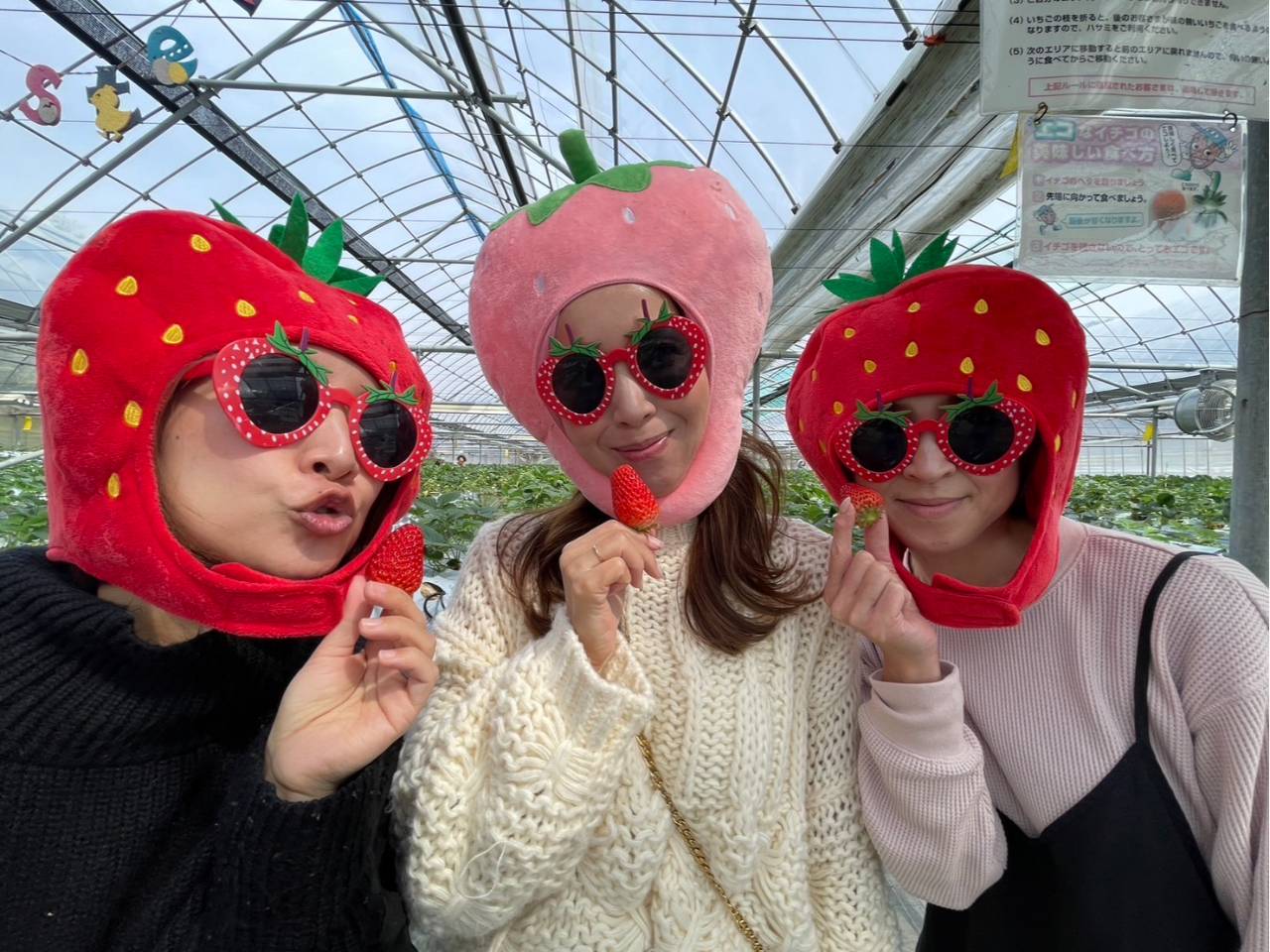 ��̂����������y����łˁ�