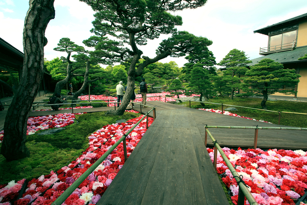 ミニ会席 お食事プラン 日本庭園 由志園 じゃらん遊び体験