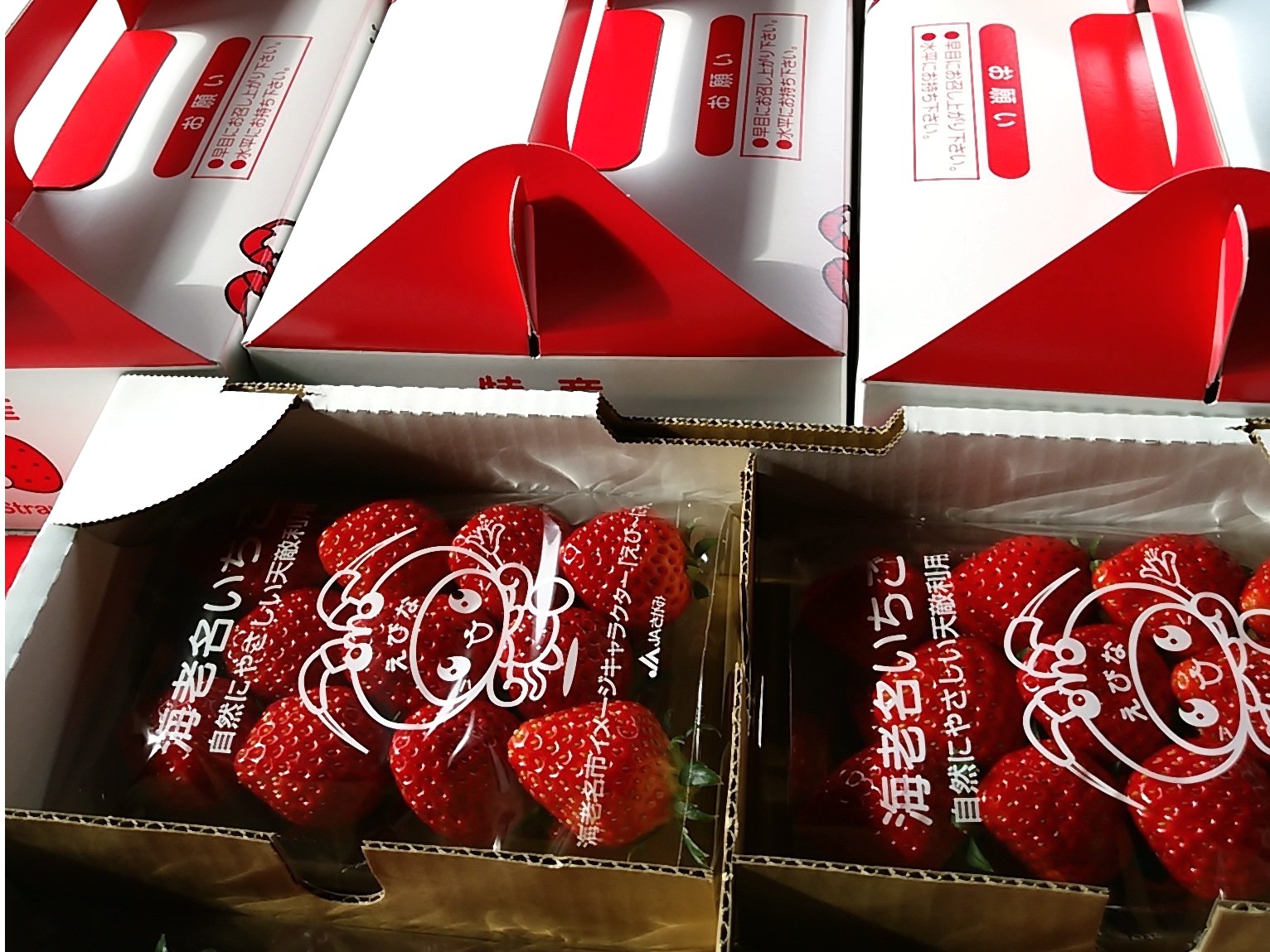 ���y�Y�������܂���`