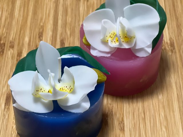 胡蝶蘭ボタニカル