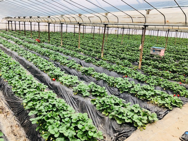 �n�E�X�̒��͂ƂĂ������Ȃ�̂ŁA���x�������ł��镞���ł��z������������