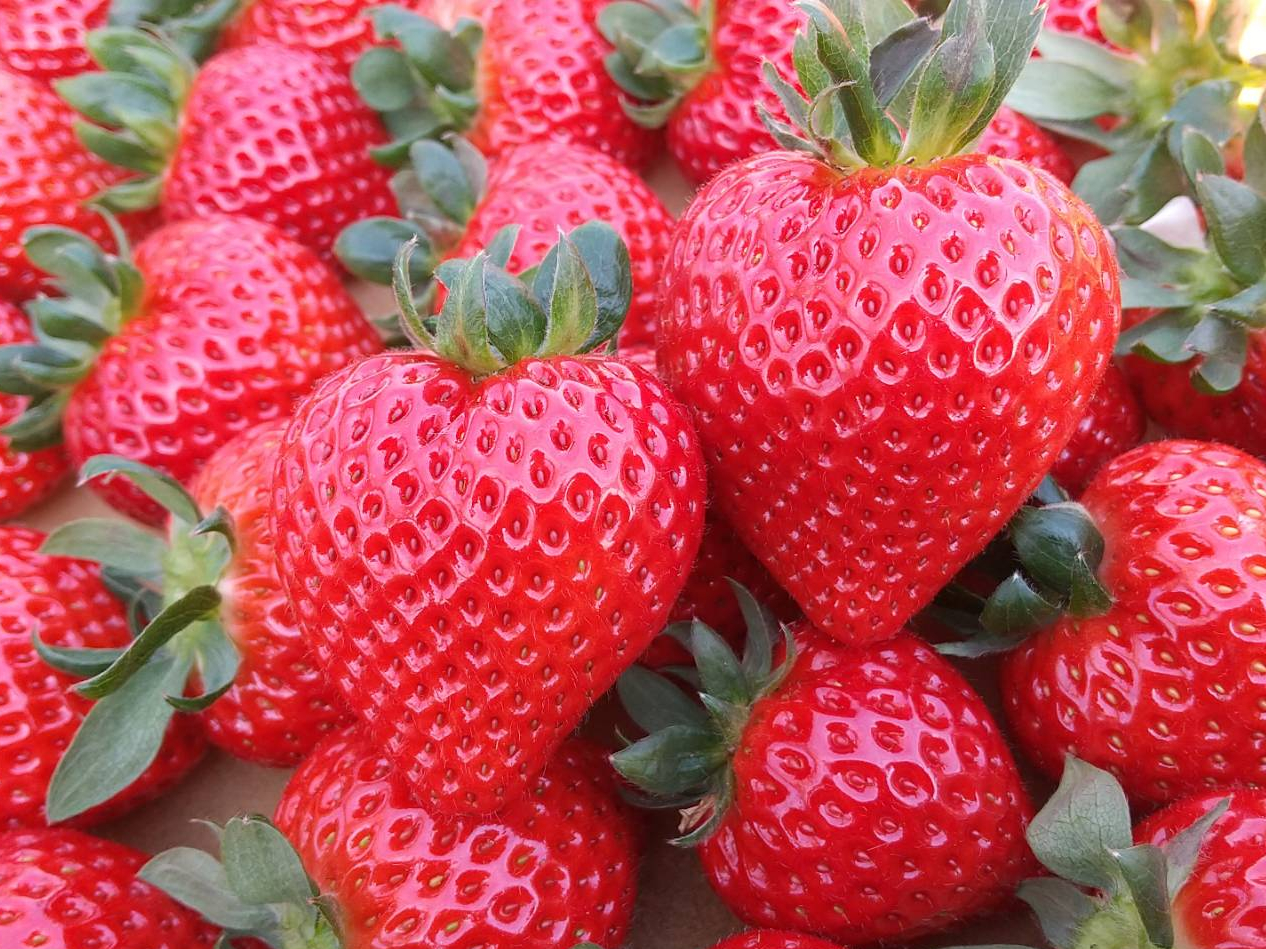 �n�[�g�^���܂��ł��I