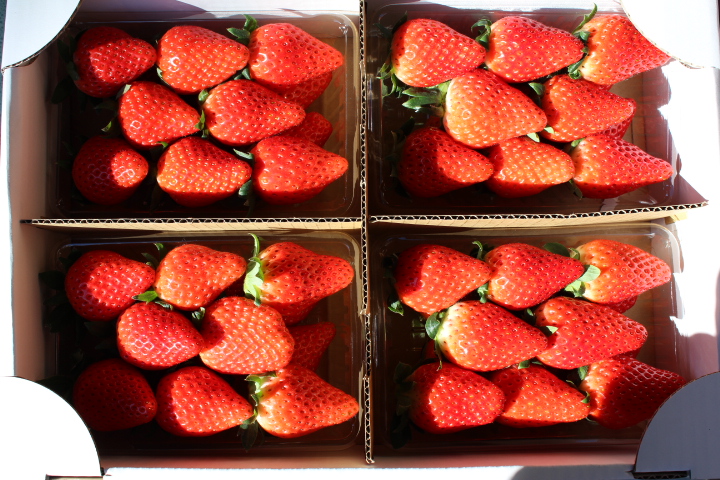 sĂ܂Ȉ󋵂ɂĂĂȂꍇ܂