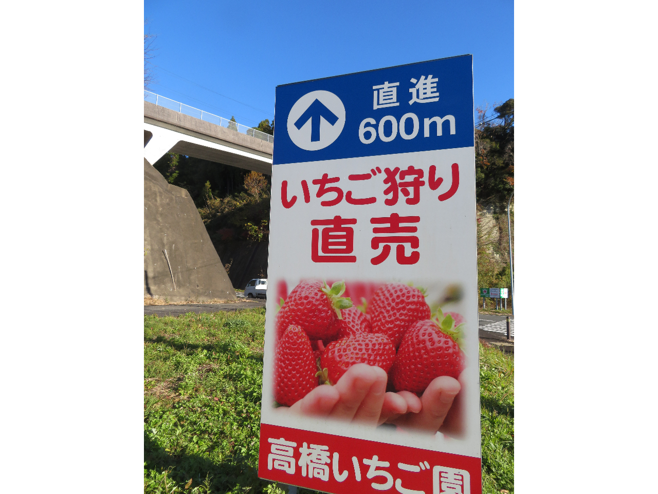 �������������܂ł̊Ŕ�ڈ�ɂ��z�����������I