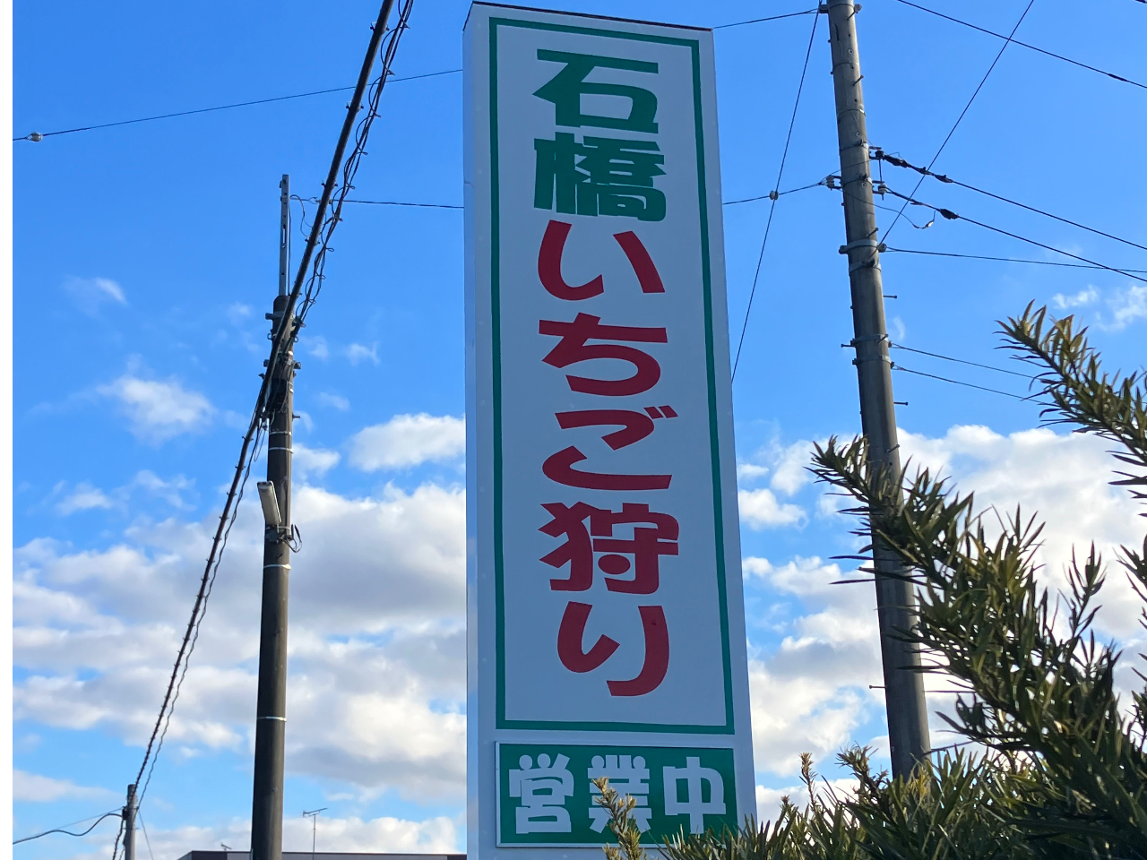 126ÅŔڈɂȂ艺B