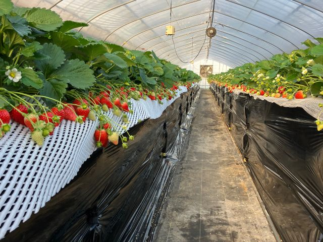 �����₷���āA���₷�����ݍ͔|���������܂��B