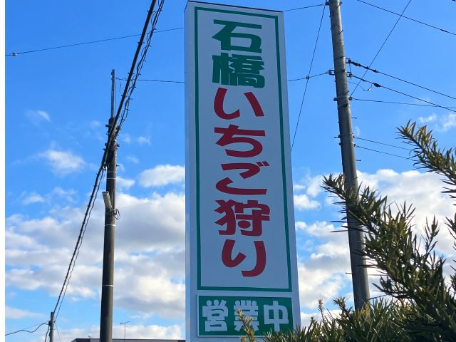 ����126������A���̊Ŕ�ڈ�ɂ��Ȃ艺�����B