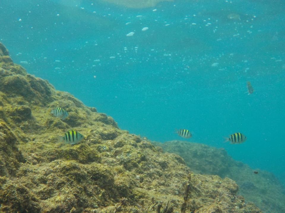 ẲɏĂĂsIrb`tB̎̐̓Jtȏς邱Ƃł܂IłghfWJYȂI