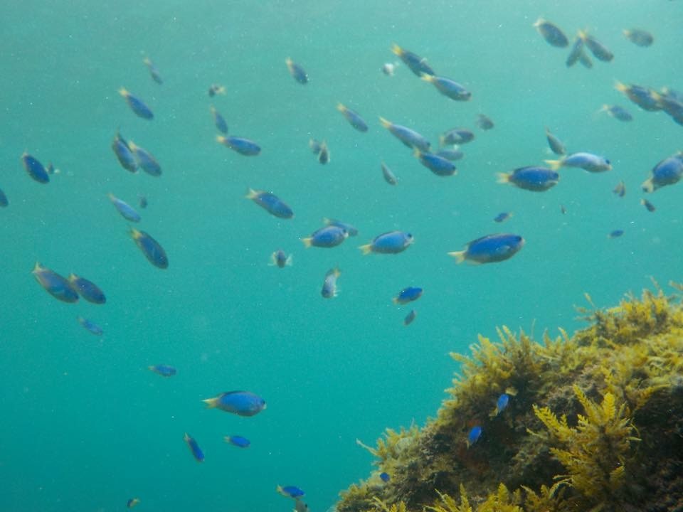 ẲɏĂĂs\XY_CtB̃u[̏̓JbNɏĂĂォ猩邱Ƃł܂BCʂu[Ɍ܂II