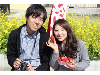 食べれる分お好きなだけ摘み取ってください♪