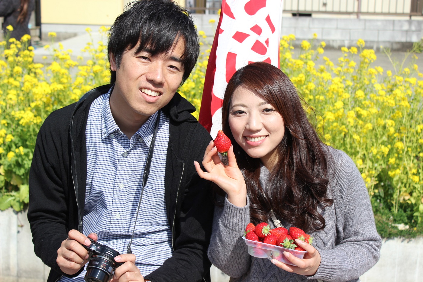 【3/23~4/5|みんなで楽しめるいちご狩り】\イートインスペース併設/常時7...