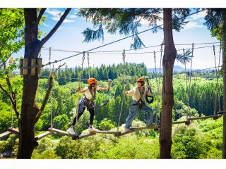 ツリーアドベンチャー 広大な景色をお楽しみいただける木の上のアスレチック♪