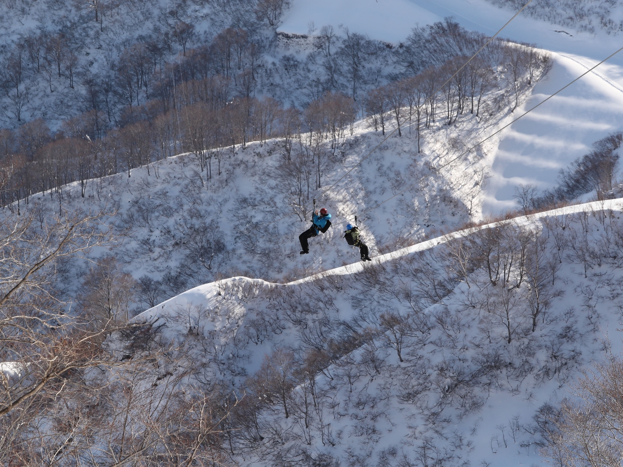 ���͖��_��