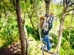 日本最大規模の【ツリーアドベンチャー】初級・上級コースをご用意しておりますので、幅広い年代でお楽しみいただけます♪