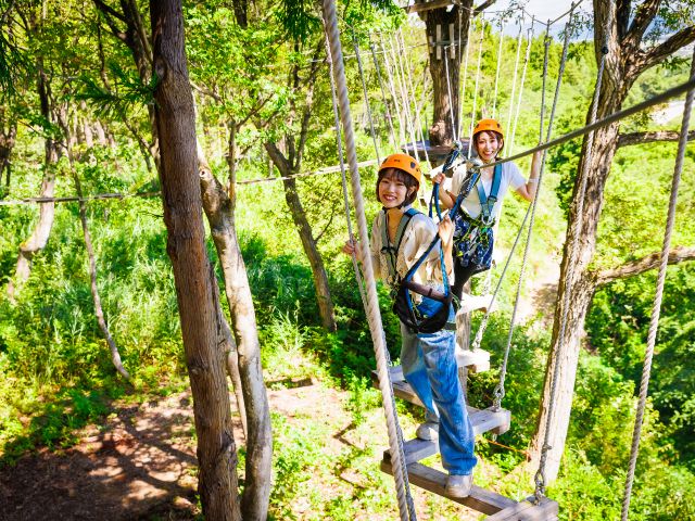 日本最大規模の【ツリーアドベンチャー】初級・上級コースをご用意しておりますので、幅広い年代でお楽しみいただけます♪