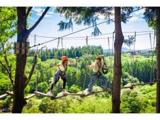 ツリーアドベンチャー 広大な景色をお楽しみいただける木の上のアスレチック♪
