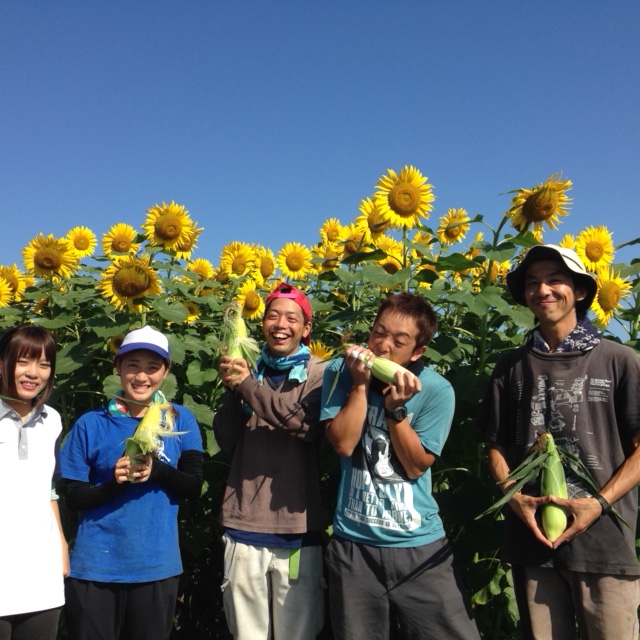 今が旬のとうもろこし4本狩りセットプラン 名古屋から車で1時間 総本数6万本の畑で4本もぎ取り さらにかき氷1個付き ファミリーにもカップルにもオススメ 株式会社 ふる里農園 美の関 じゃらん遊び体験