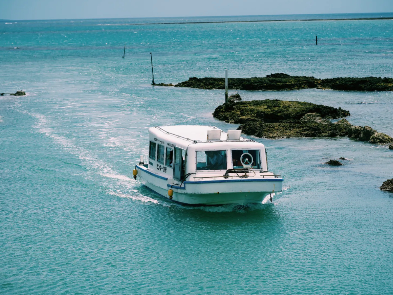 �����t���̑D�Ȃ̂œV��C�ɂ����y���߂܂��I