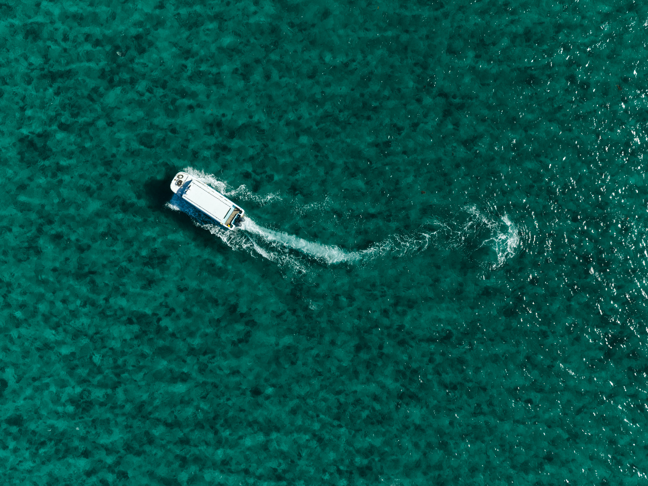 �D�ɏ�D����̌����̂��̂��y���߂܂��I