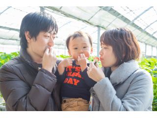 小さなお子様連れに優しい美作農園はハウス内へのベビーカーの乗り入れもOK!