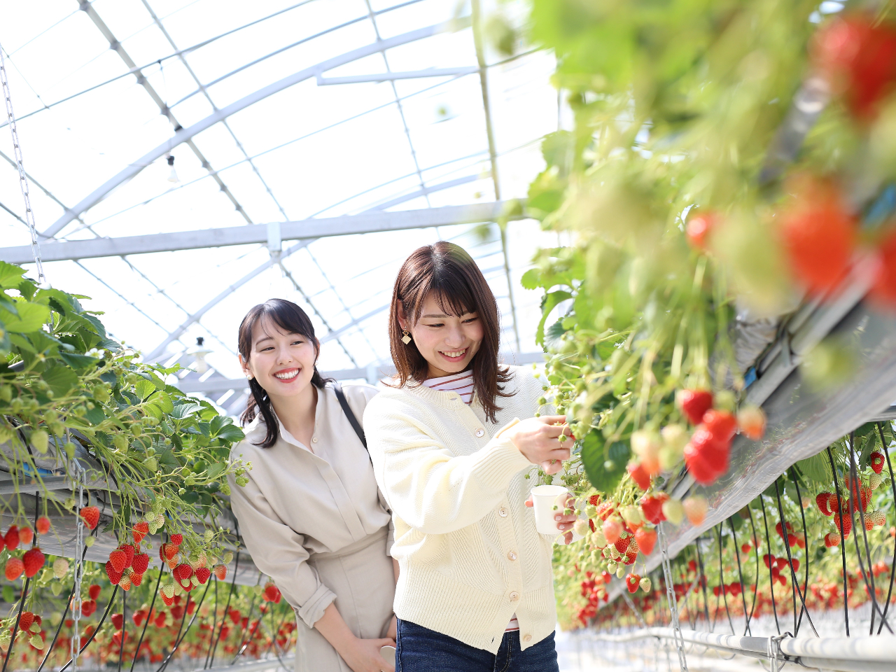 90���ԐH�ה�ׁ��H�ו���I����������������T���ăn�E�X�����������ƎU�􂭂�����������`��ʔ����`�̂������ɂ��o��邩���c�H�I