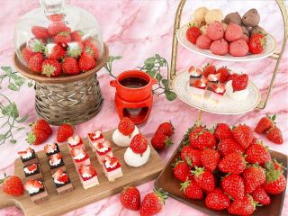 小さなお子様連れに優しい美作農園はハウス内へのベビーカーの乗り入れもOK!