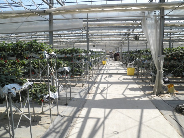 ��t���ő勉�̍L�X�Ƃ��ăn�E�X�ł�����肨�y���݂���������