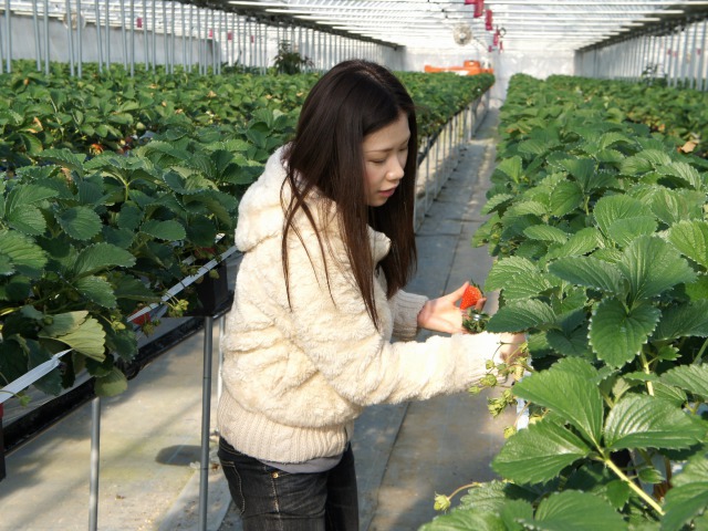 ���ݍ͔|�Ȃ̂ŁA���Ⴊ�܂��y�X����������