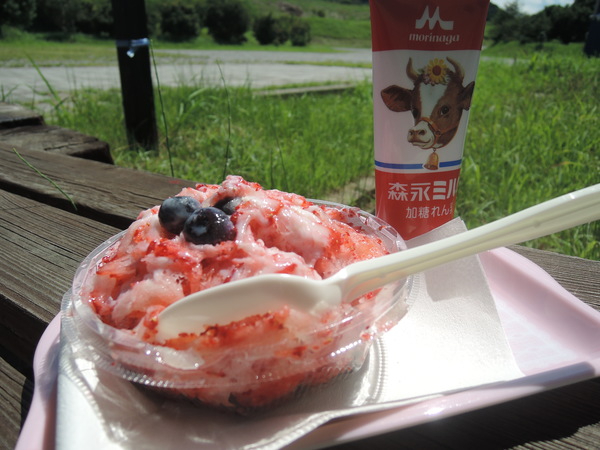 �~�͔���������������肪�y���߂�̂����_���̓����ł������_���łƂꂽ�Ⓚ���������A��肢�����̂����X�Ƃ��Ă��y���݂��������܂���