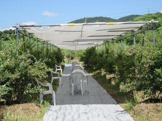 ★日陰スペース&防草シート★太陽の光をさえぎってくれて小さいお子様などにも安心♪また、車椅子の方やベビーカーのお客様が使いやすいようにシートを引いています。