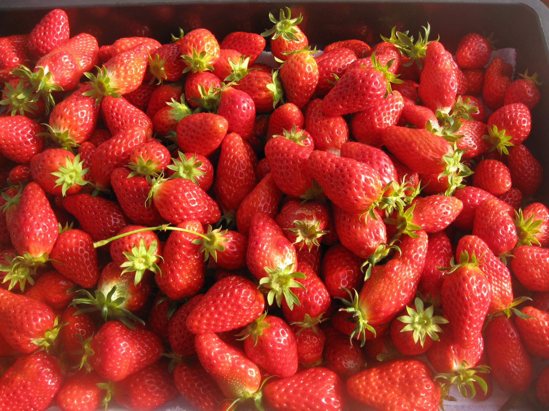 �^���ԂɊ��n�����������͂Ƃ��Ă��Â��ł���`