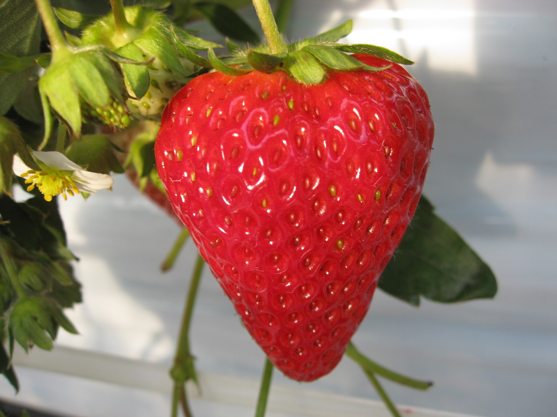 �^���ԂɊ��n�����������͂Ƃ��Ă��Â��ł���`