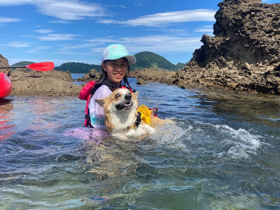 ワンワンと一緒に泳いでみよう