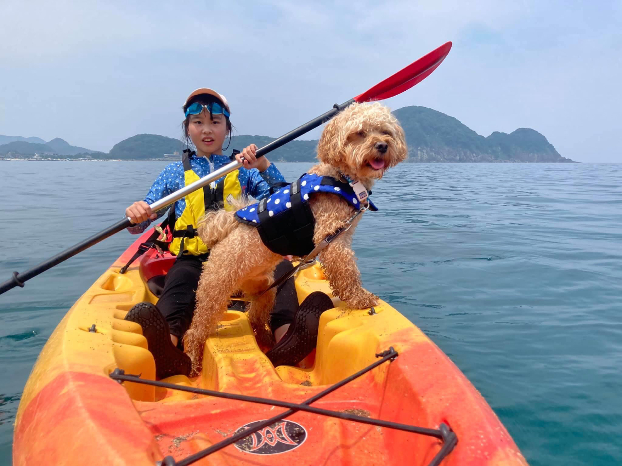 水質AA!関西NO1の透明度を誇るワンワン専用ビーチ青井浜ワンワンビーチでカヌーをしよう!