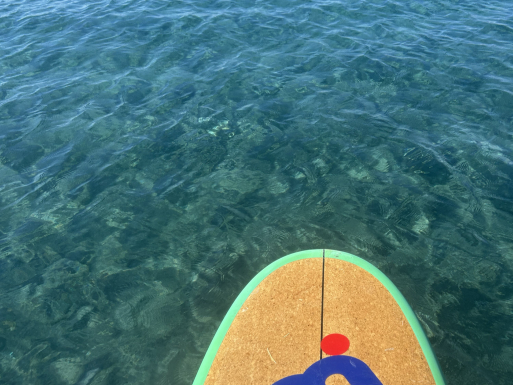 透き通る海上から撮影!