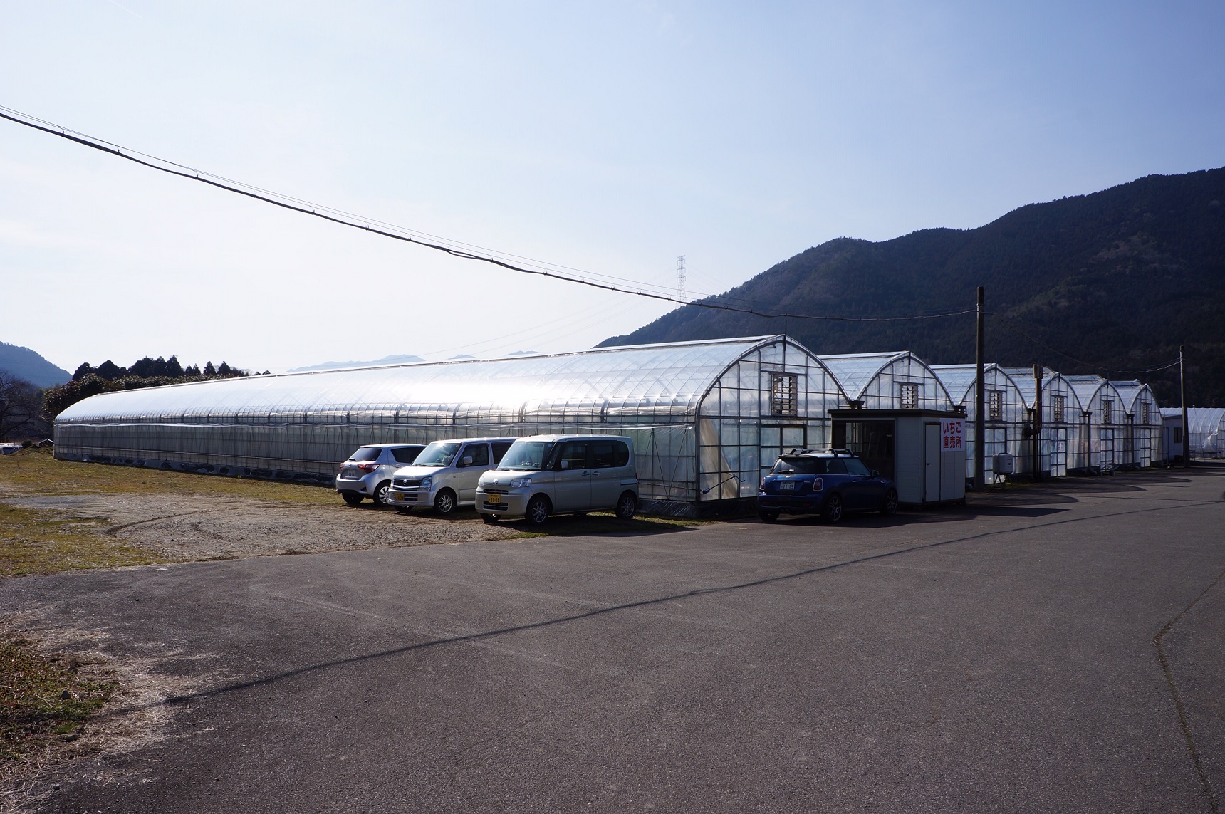 �L�X�Ƃ����n�E�X�ƒ��ԏ�ɂȂ��Ă���܂��I