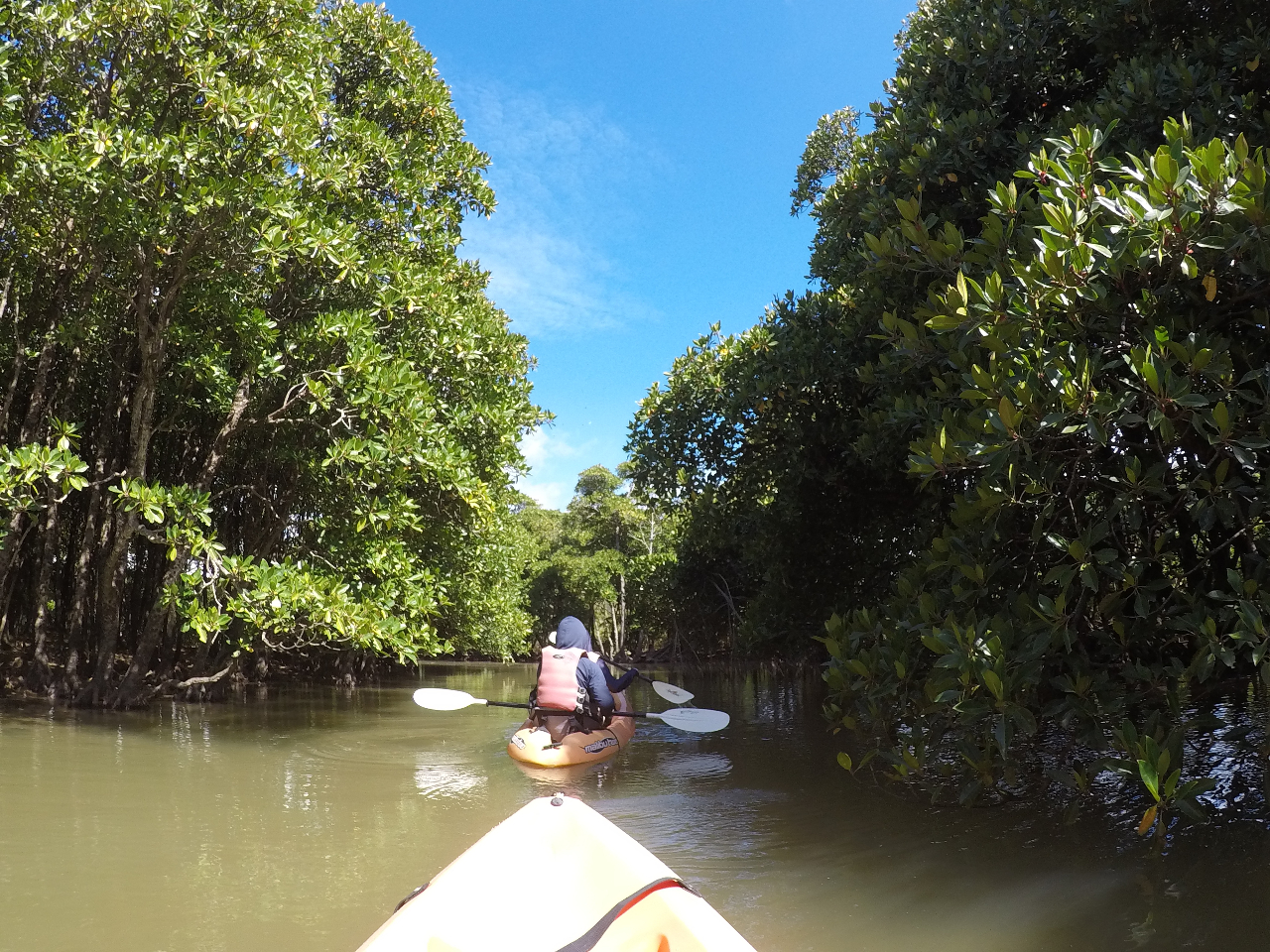 悢扭̍Ő[֑܂BAWOւ̃hLhL܂܂[I