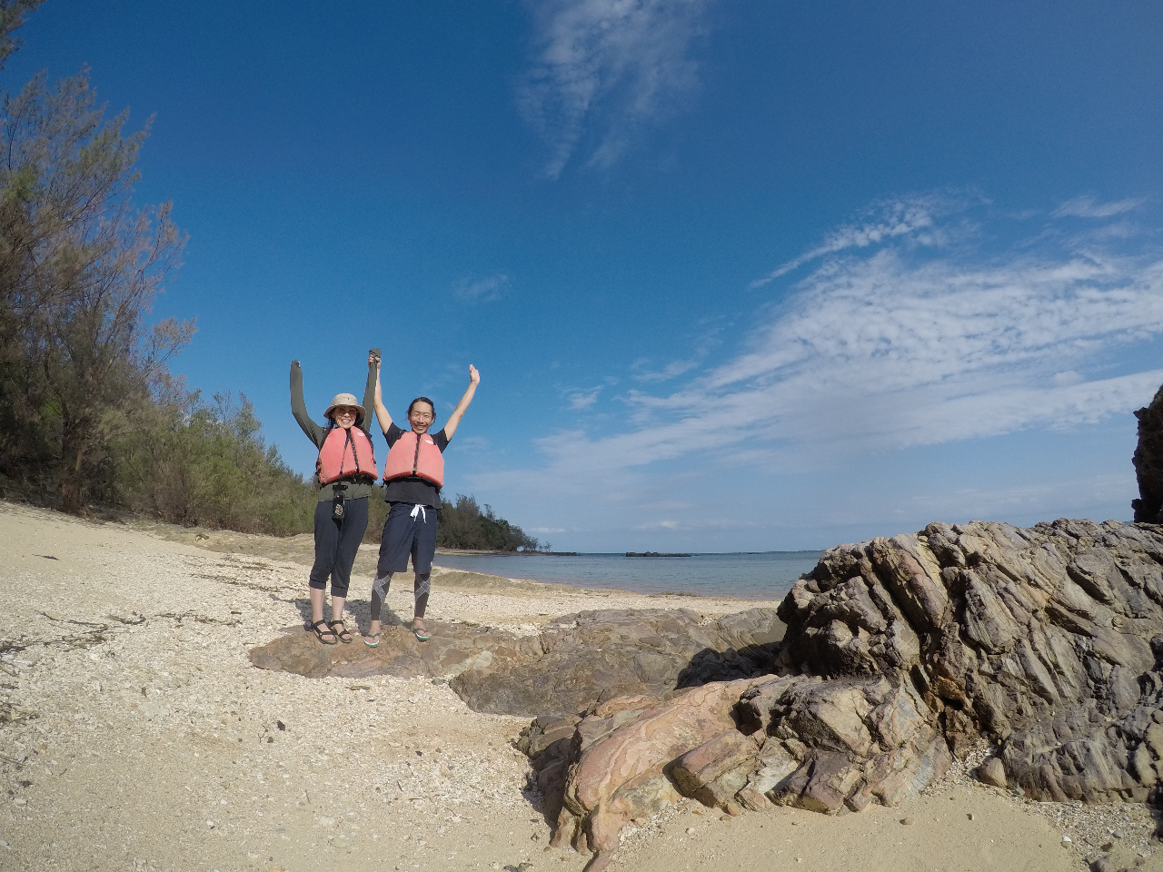 [Jr[`㗤听IĝL΂ĂVт܂II