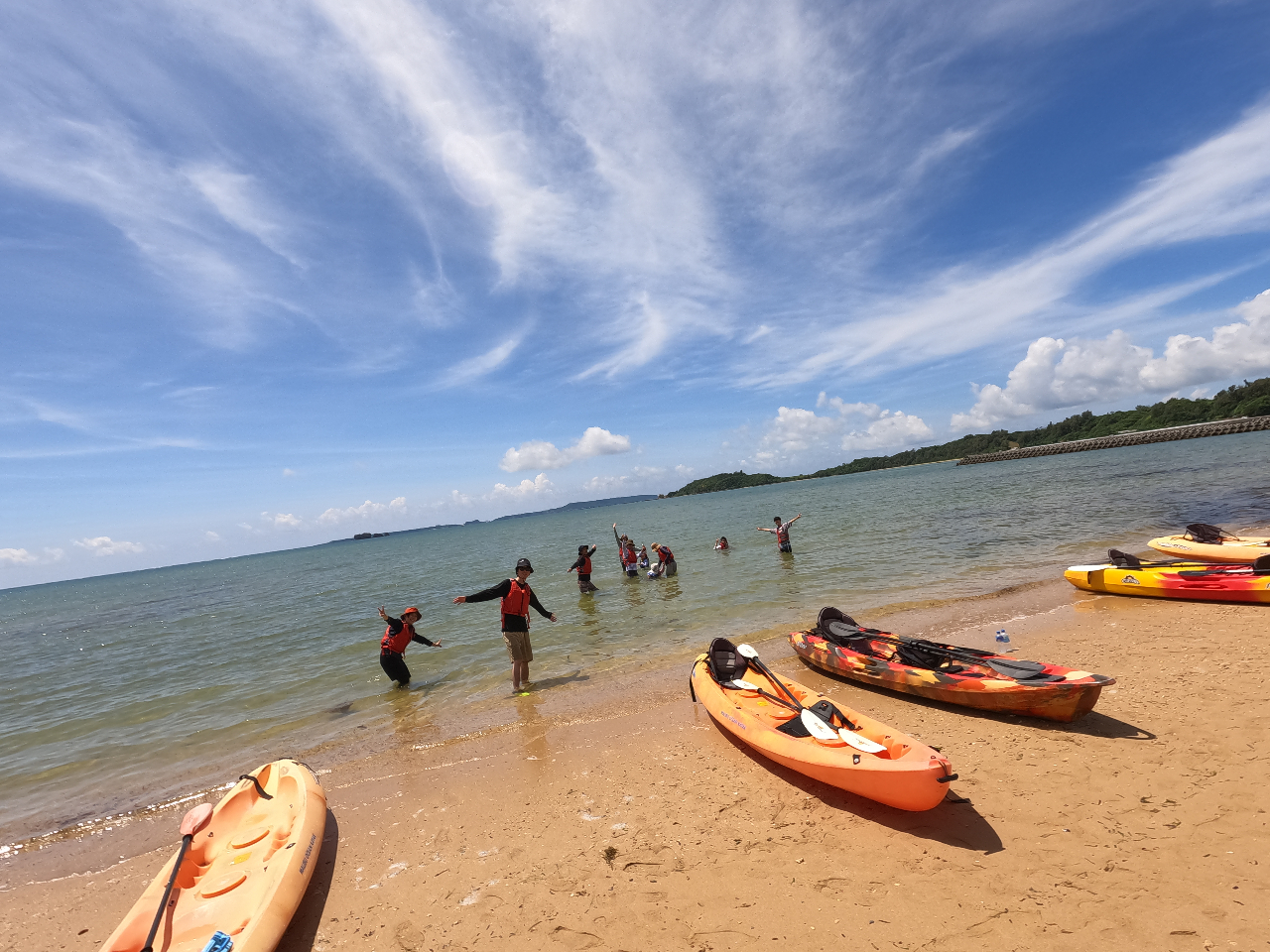 HׂCAIJhJƋYꂽEEE