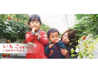 12/12〜【30分食べ放題♪】贅沢な5品種のいちごを食べ比べ!!※コロナ対策実施中※ 2歳未満のお子様無料!