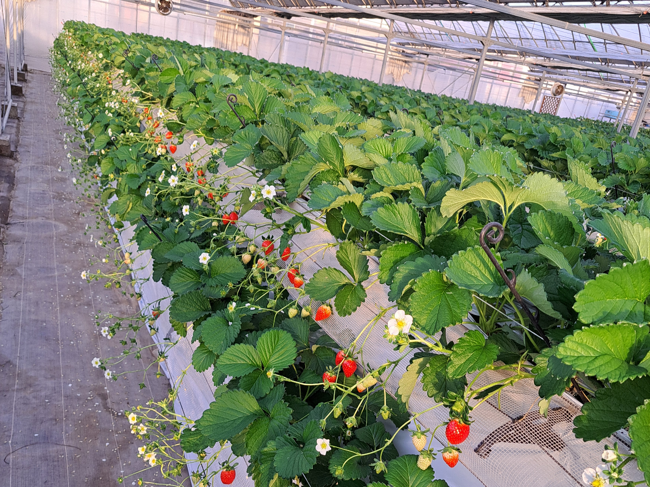 ��ʌ����܂�@���܂��A�������A�ׂɂ��ܔ̔����I�i�����݂̂ł��j