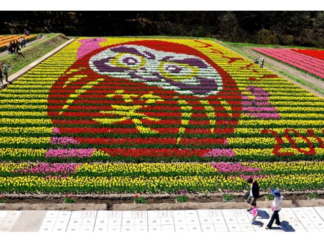 22たんとうチューリップまつり 但東シルクロード観光協会 じゃらん遊び体験 22たんとうチューリップまつり 但東シルクロード観光協会 じゃらん遊び体験