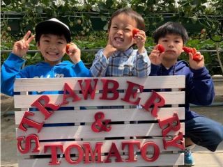 お子様に大人気の観光農園です♪