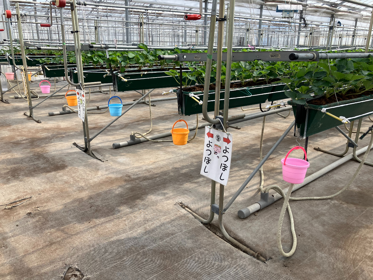 nEX̂Ȃ͂ƂĂLłIx`̂ł肭났Ȃ炨y݂܂̓V[g\ŌCɂł